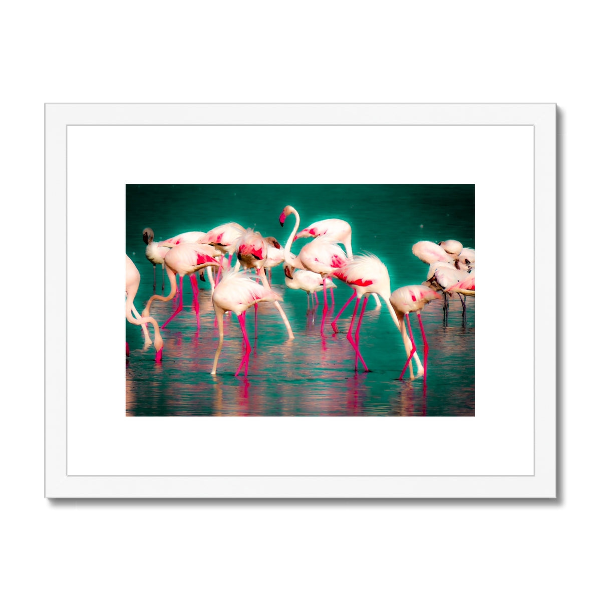 Flamingos 1 - Framed