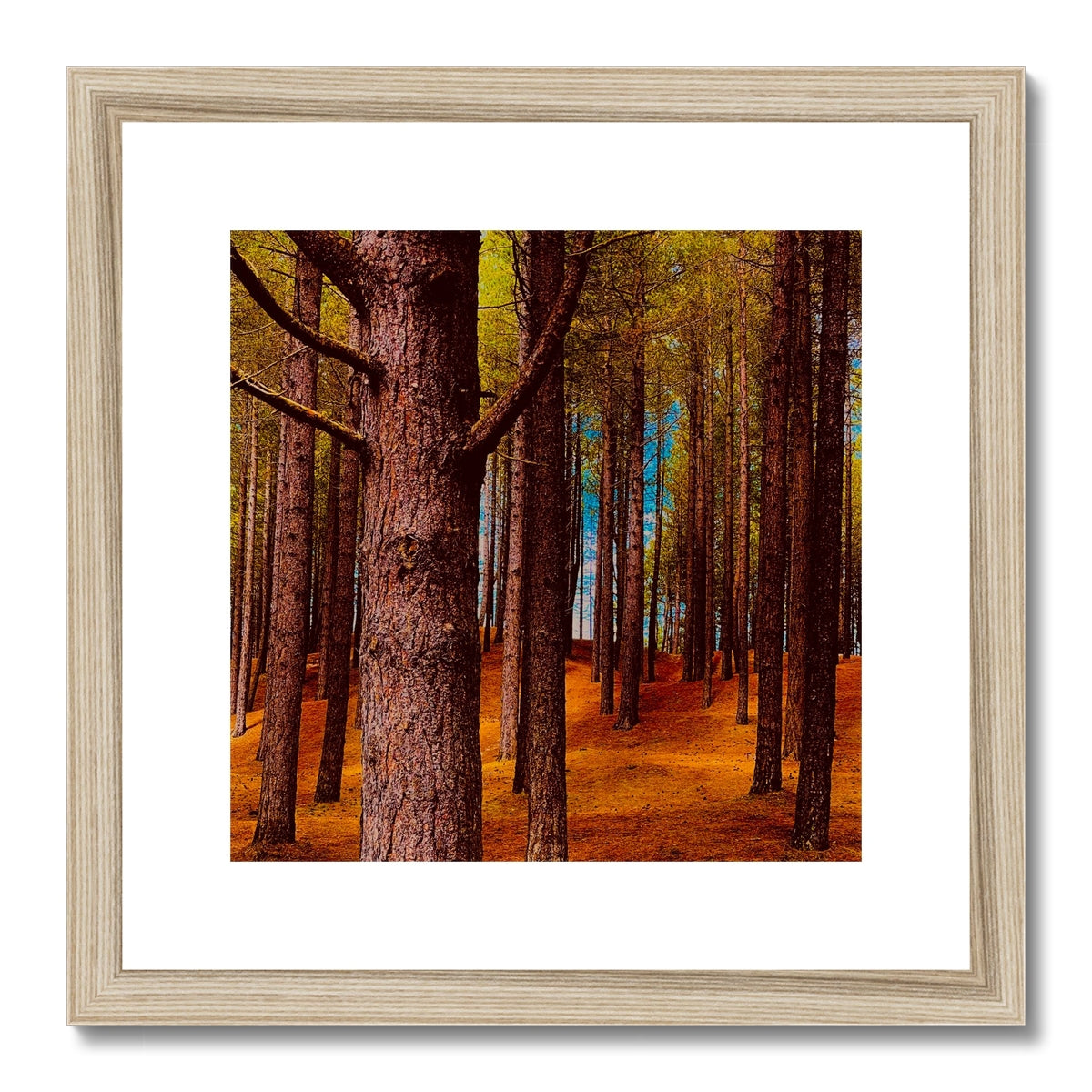 Scottish Forest - Framed