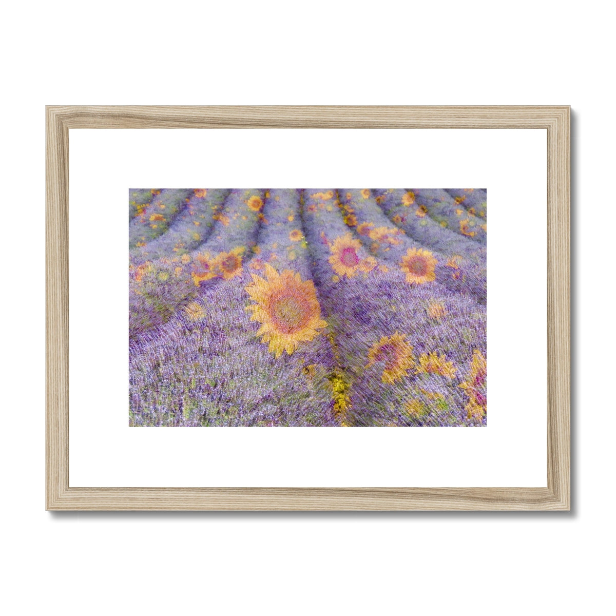 Lavander and Sun Flowers - Framed