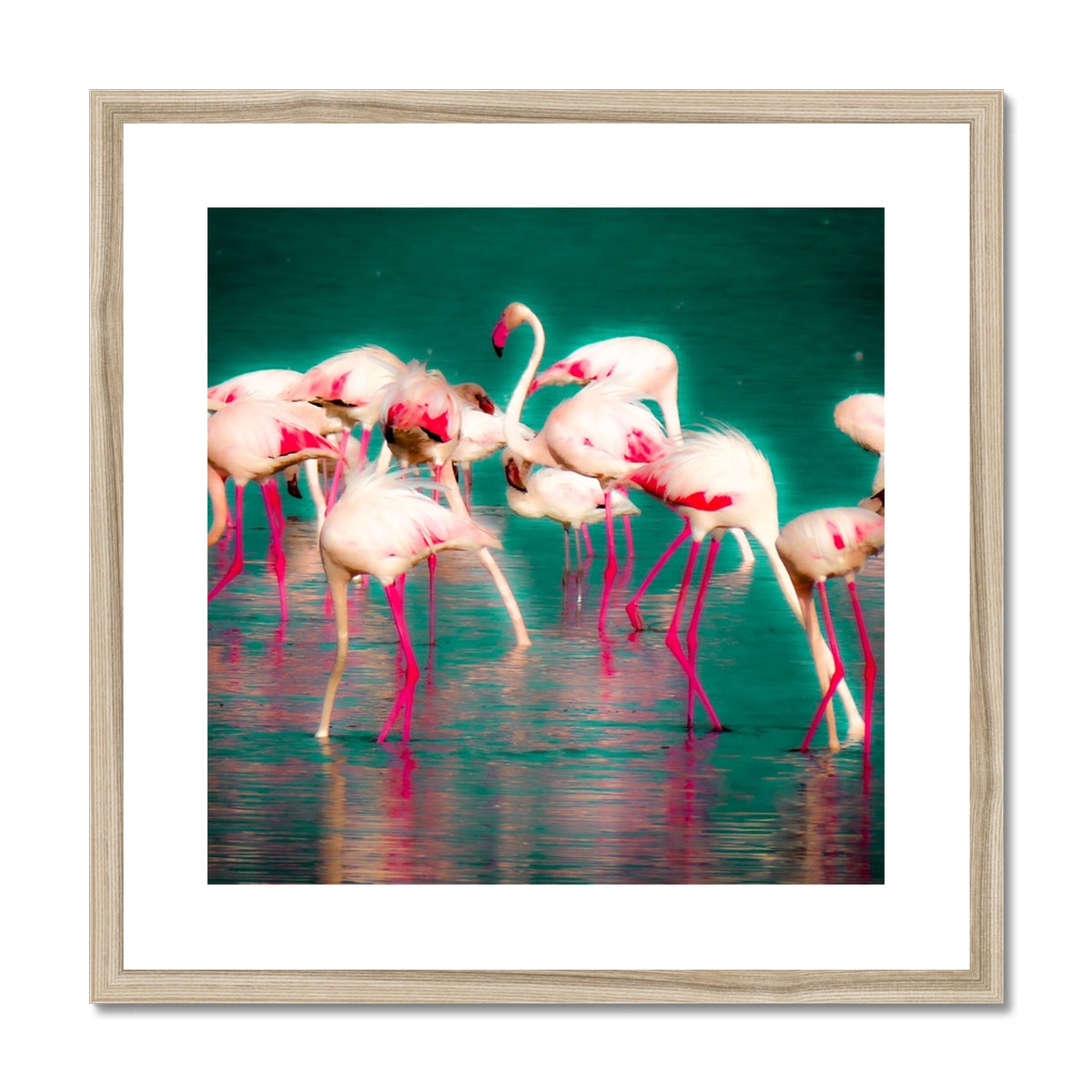 Flamingos 1 - Framed