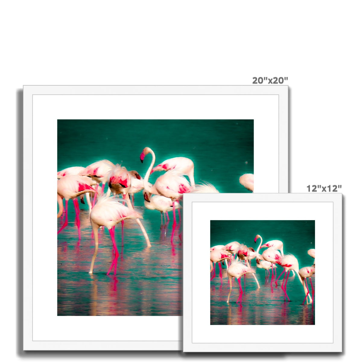 Flamingos 1 - Framed