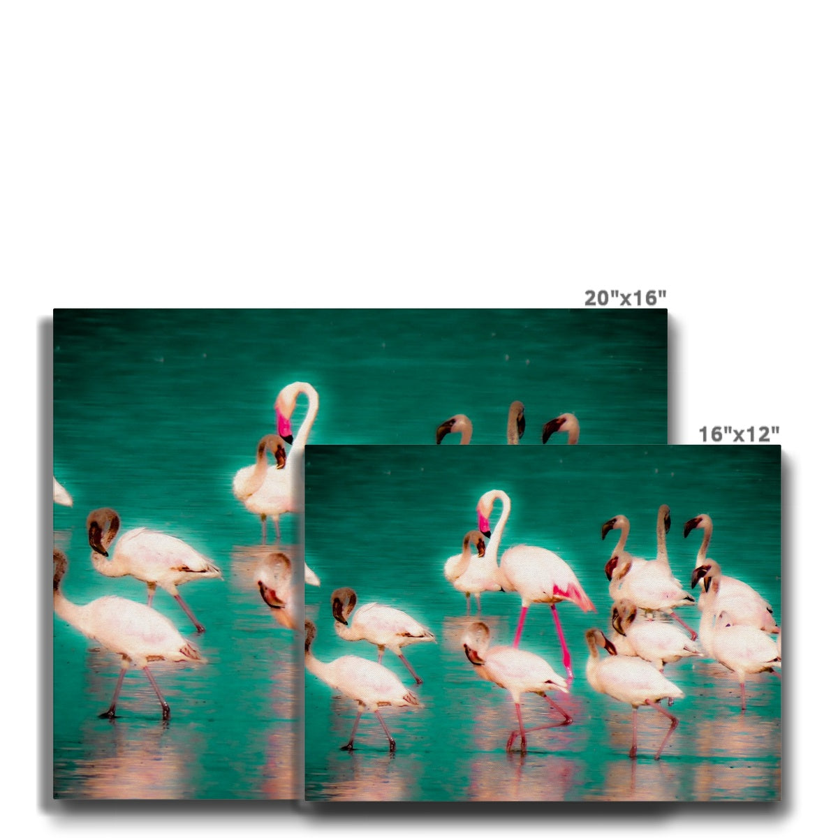 Flamingos 3 - Canvas