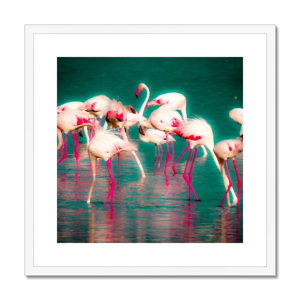 Flamingos 1 - Framed