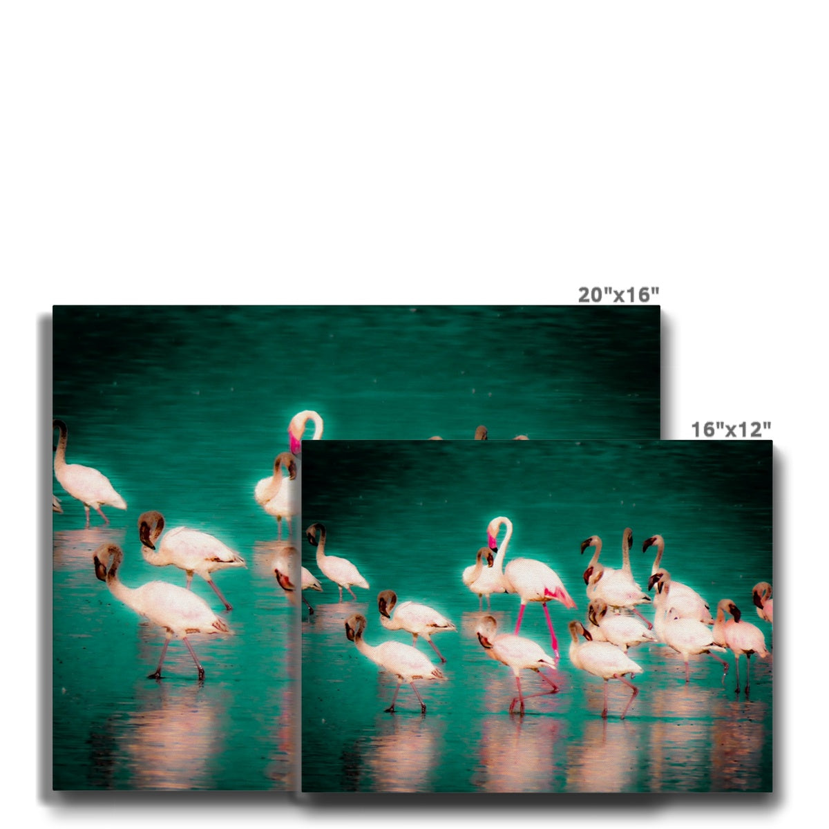 Flamingos 3 - Canvas