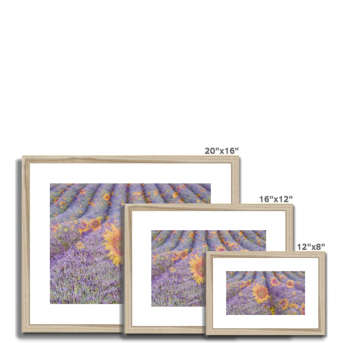 Lavander and Sun Flowers - Framed