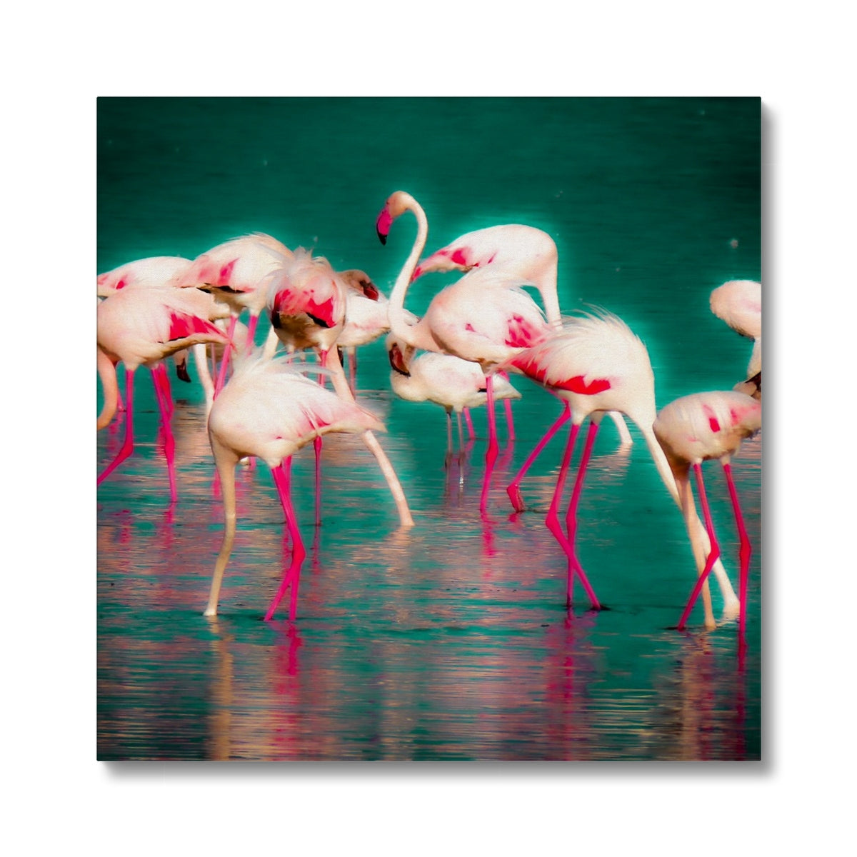 Flamingos 1 - Canvas