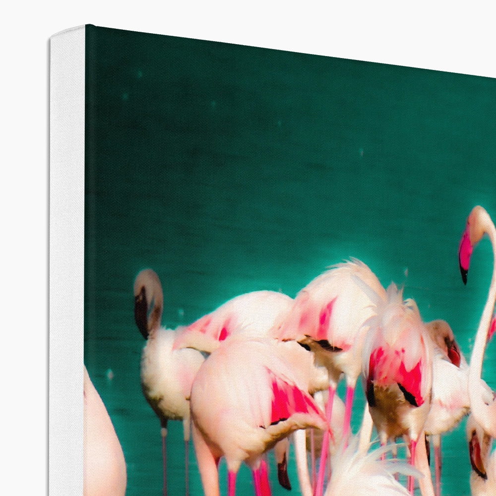 Flamingos 1 - Canvas