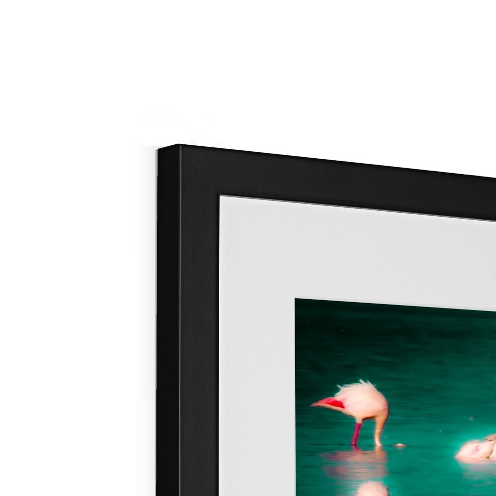 Flamingos 2 - Framed