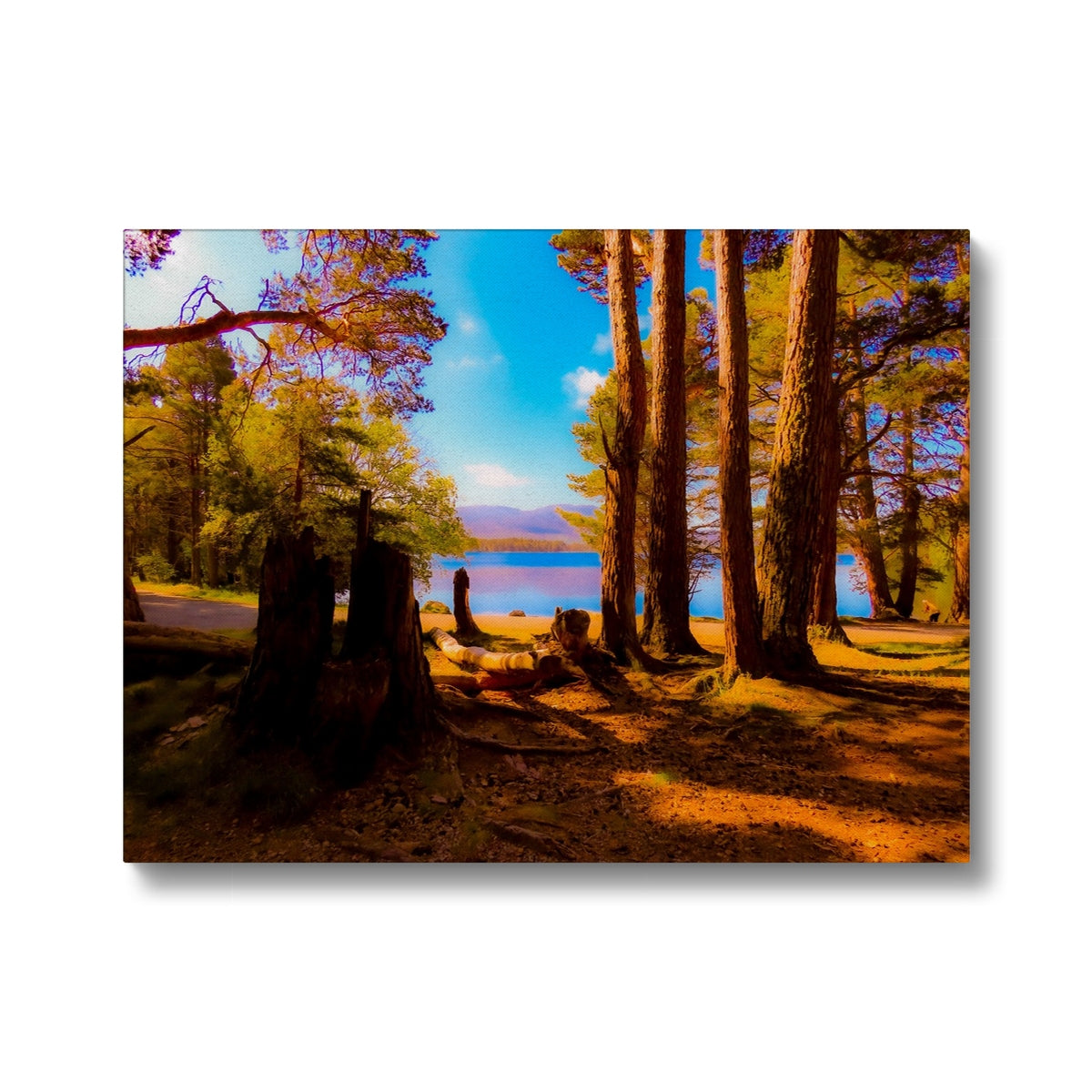 Lake in Scotland - Canvas