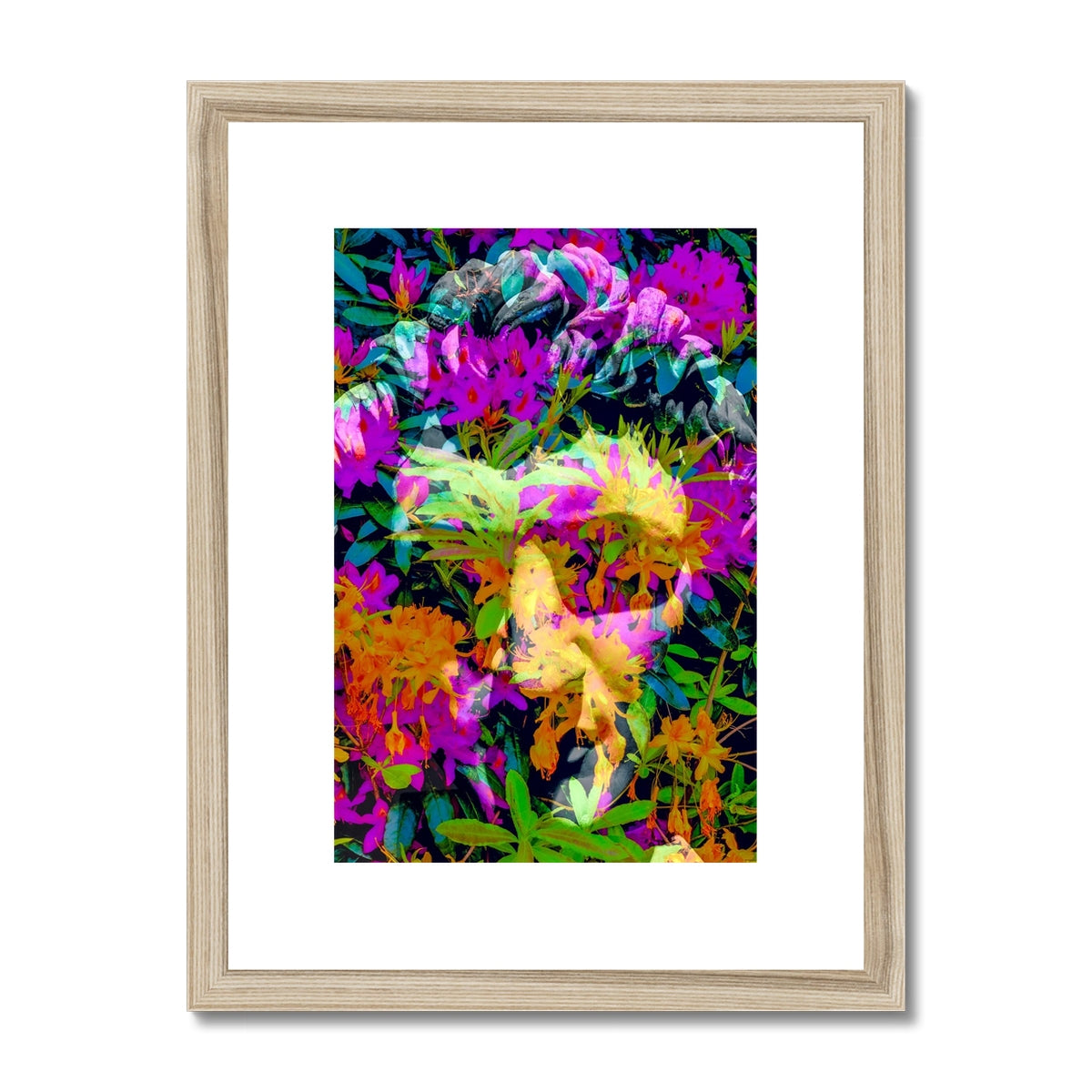 Antique Head 1 - Framed