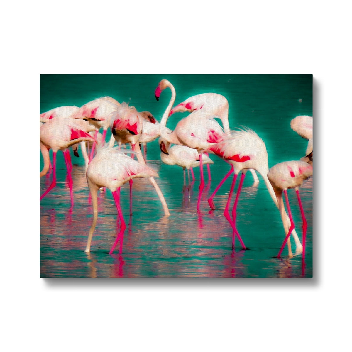 Flamingos 1 - Canvas