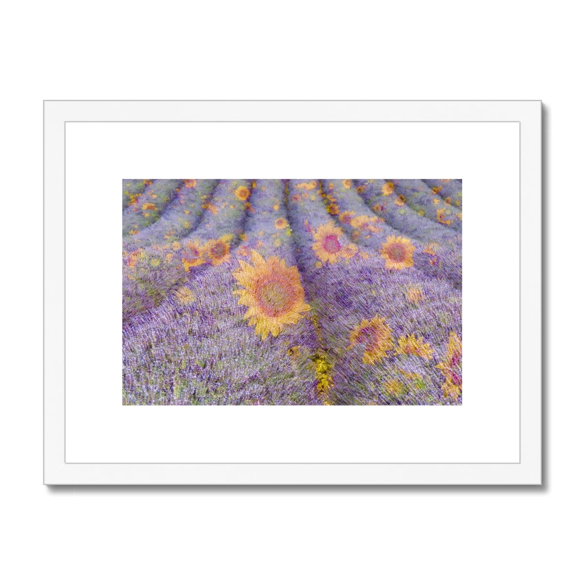 Lavander and Sun Flowers - Framed