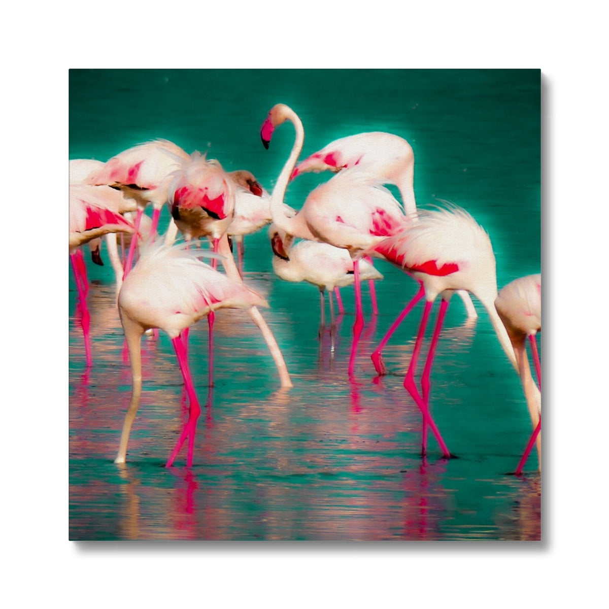 Flamingos 1 - Canvas