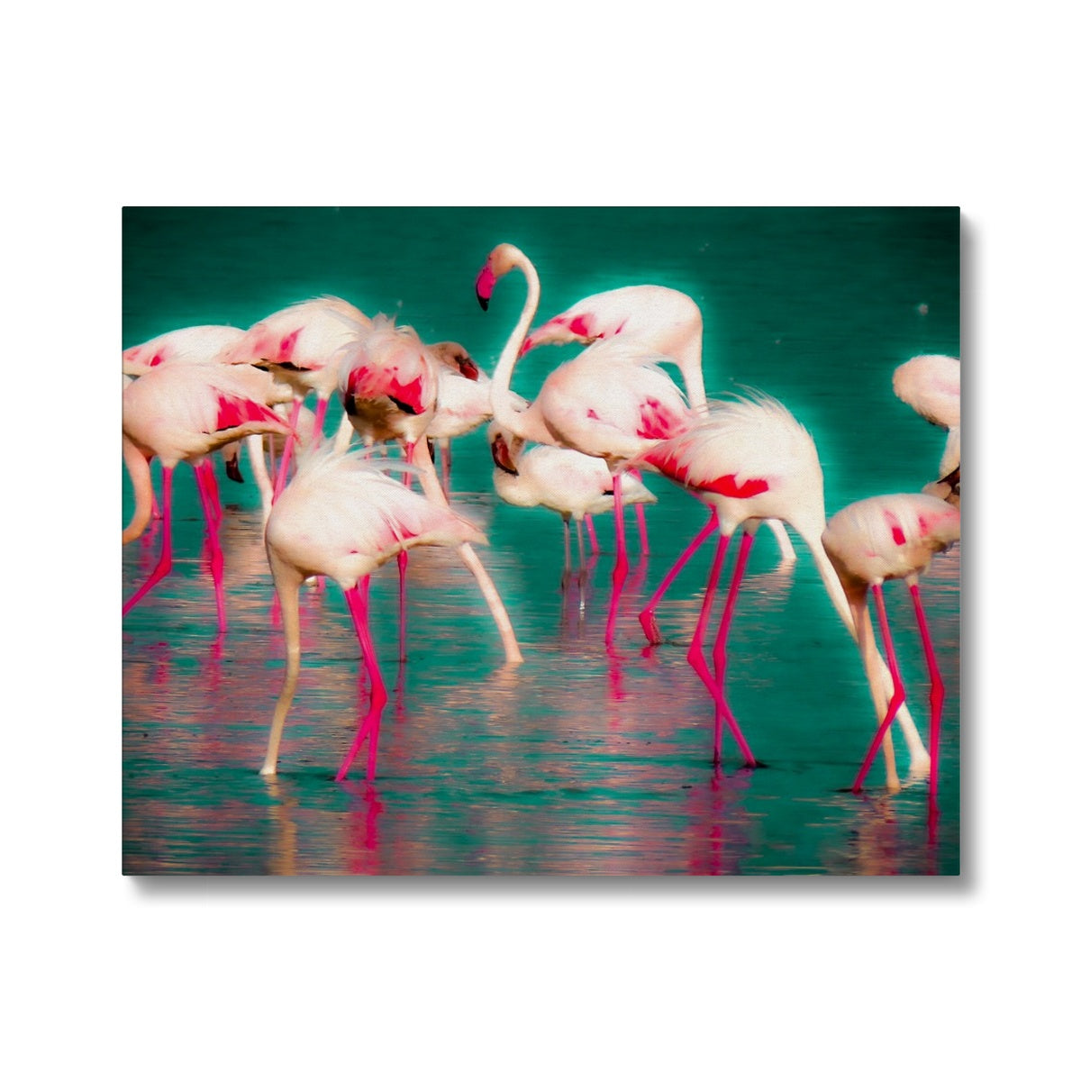 Flamingos 1 - Canvas