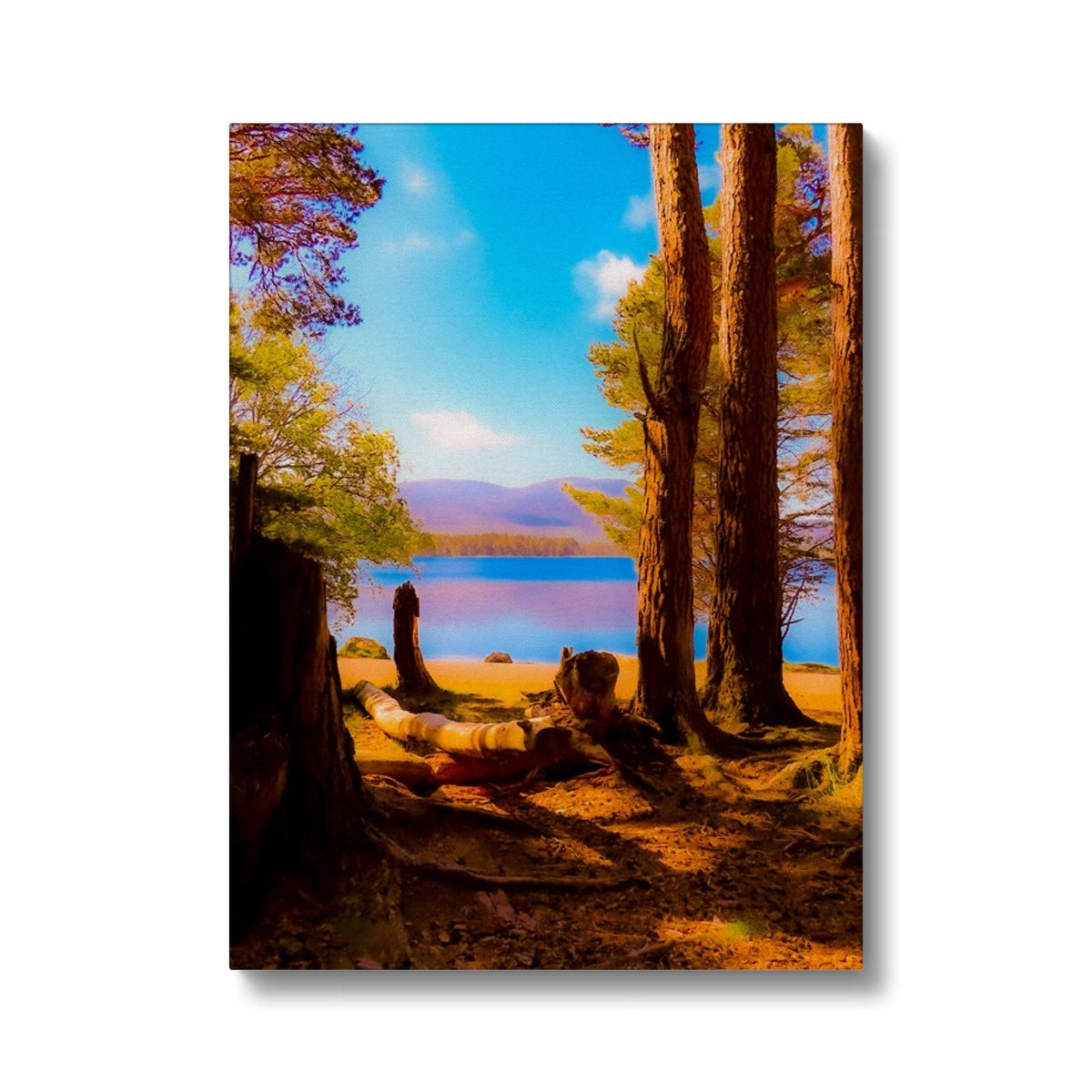 Lake in Scotland - Canvas