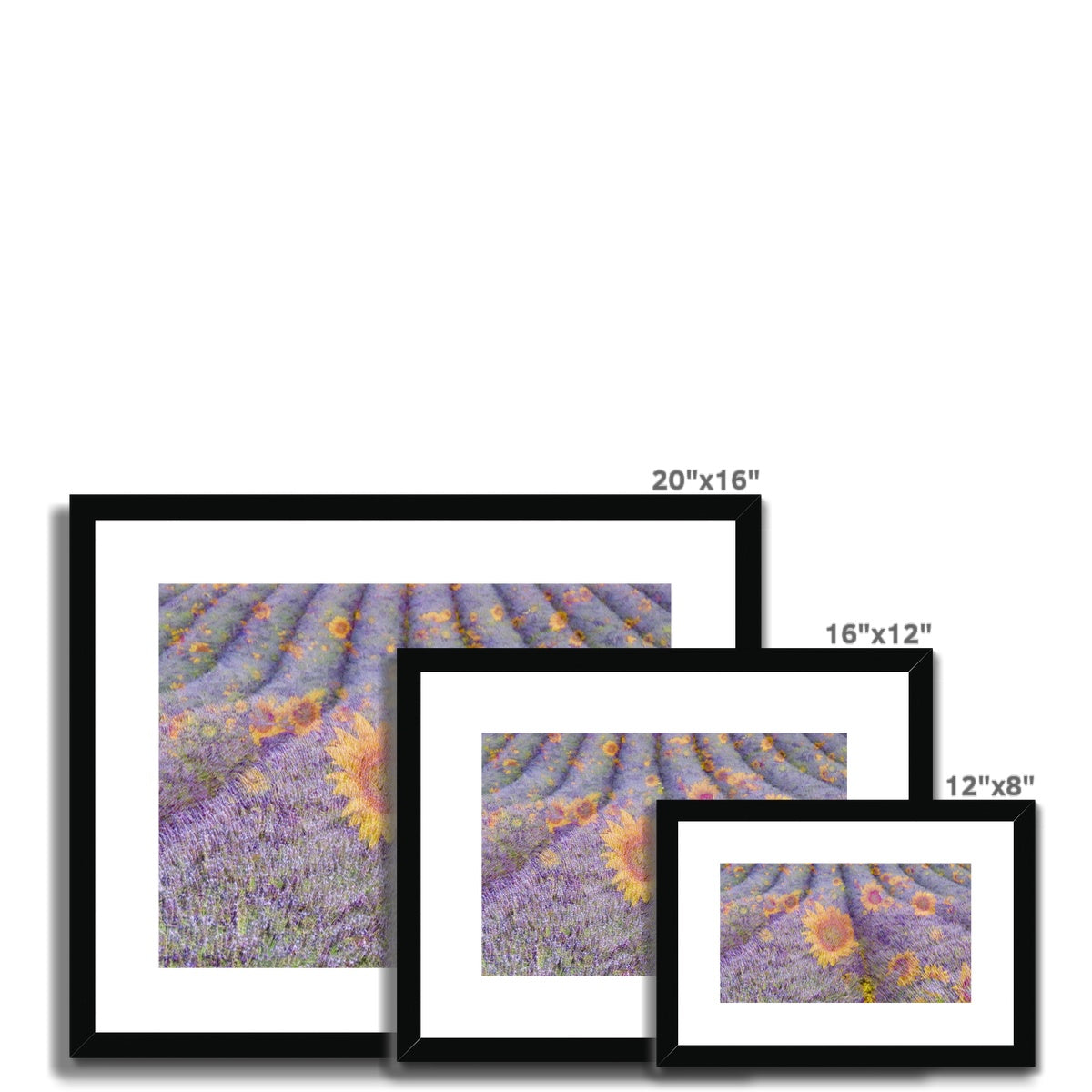 Lavander and Sun Flowers - Framed