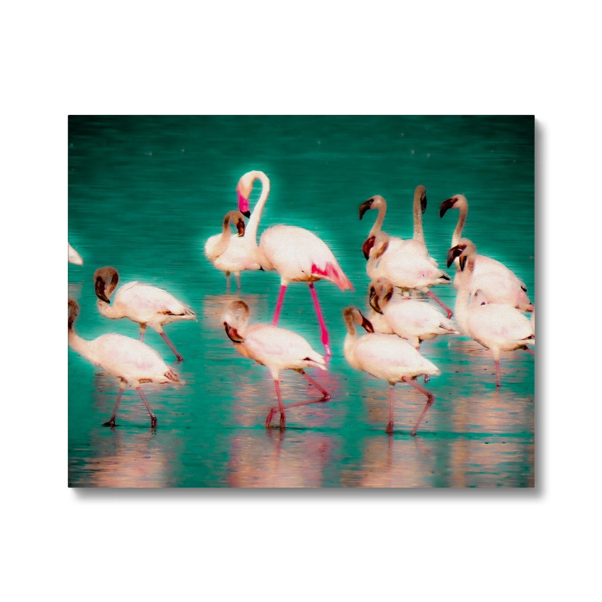 Flamingos 3 - Canvas