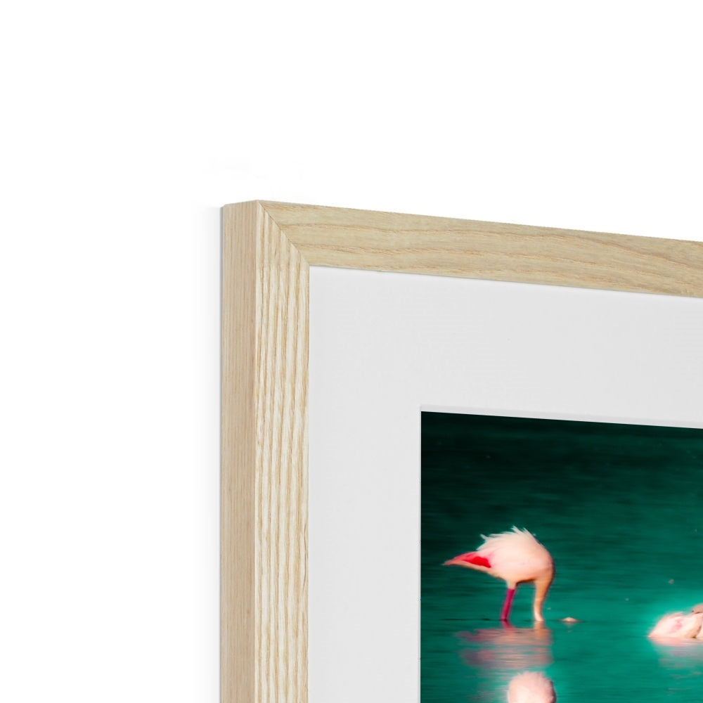 Flamingos 2 - Framed