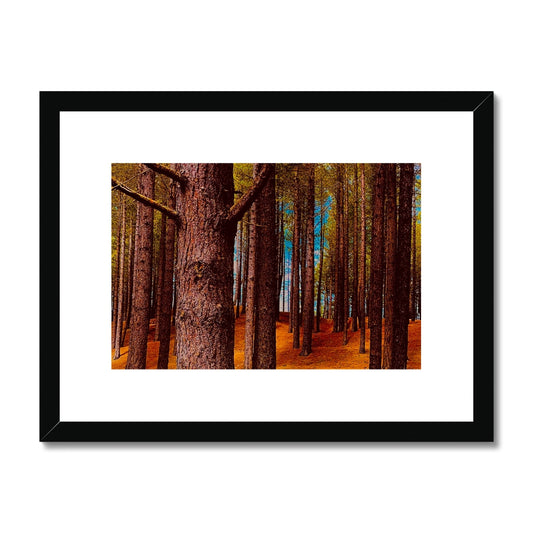 Scottish Forest - Framed