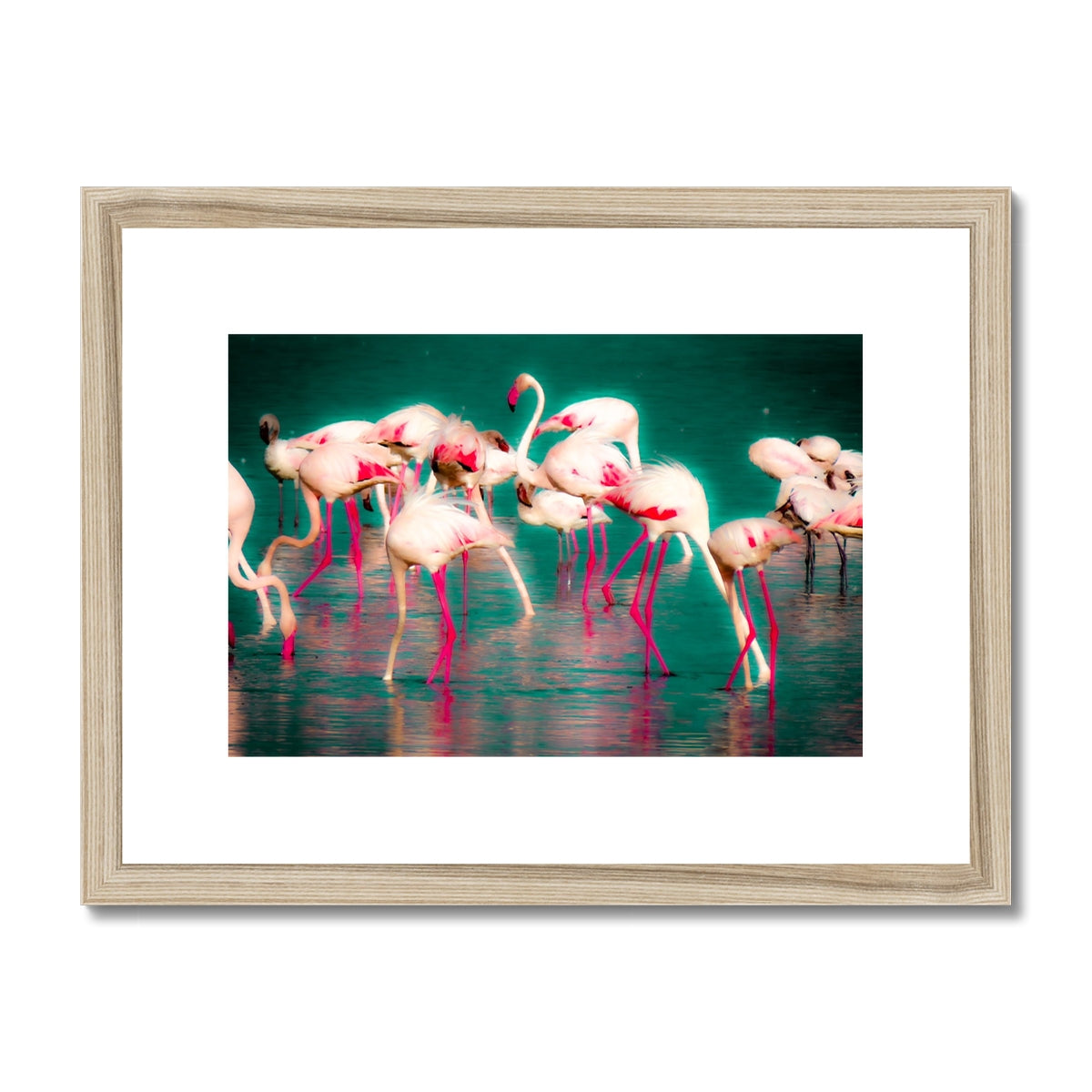 Flamingos 1 - Framed