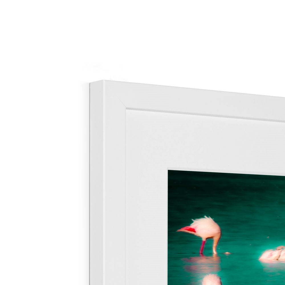 Flamingos 2 - Framed