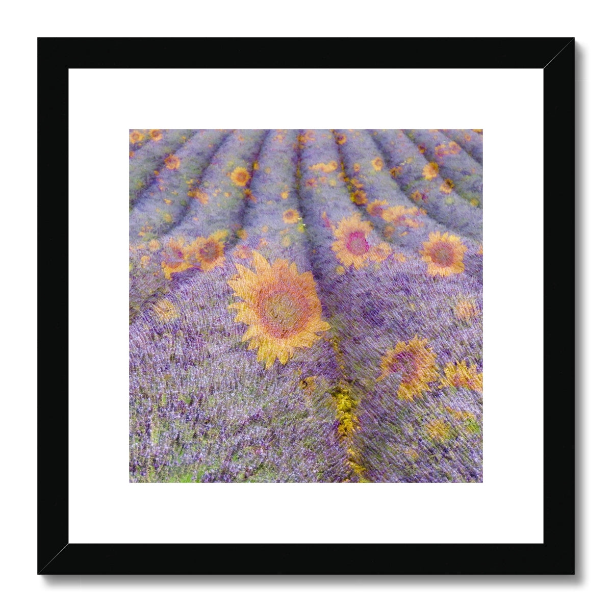 Lavander and Sun Flowers - Framed