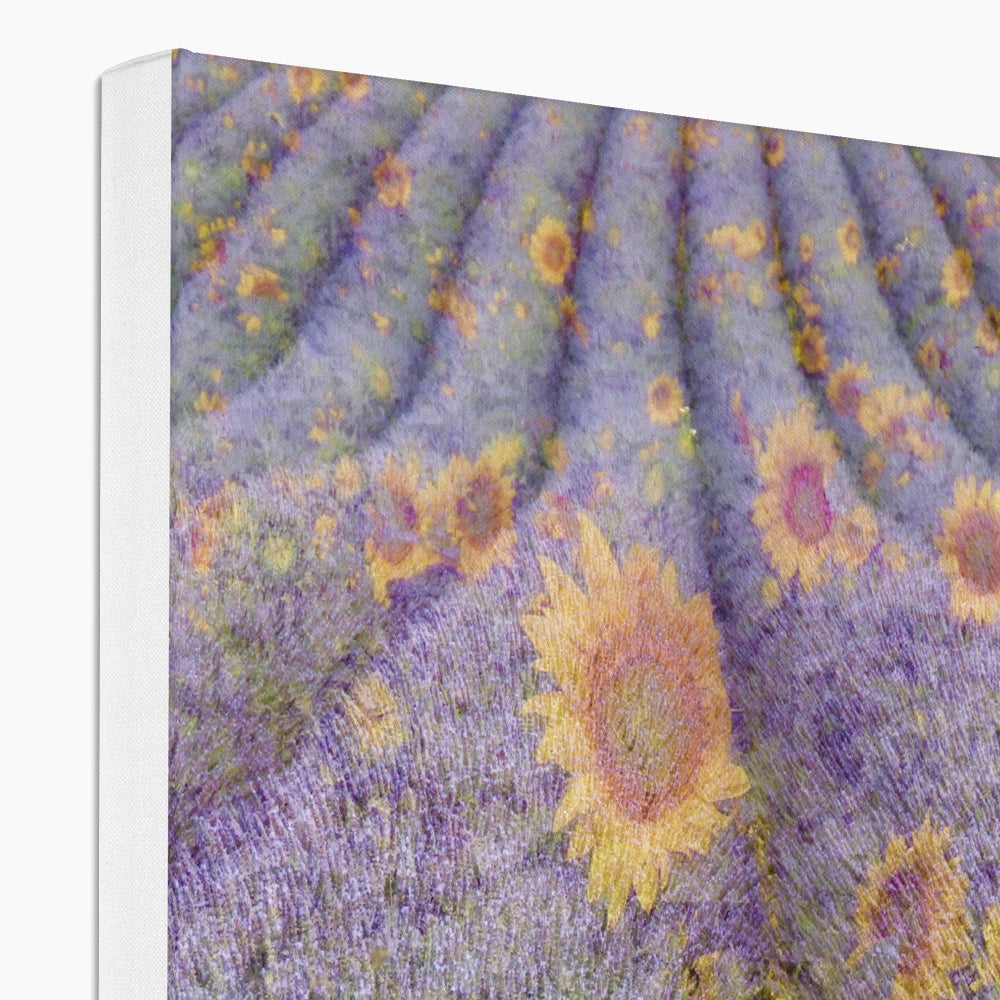 Lavander and Sun Flowers - Canvas