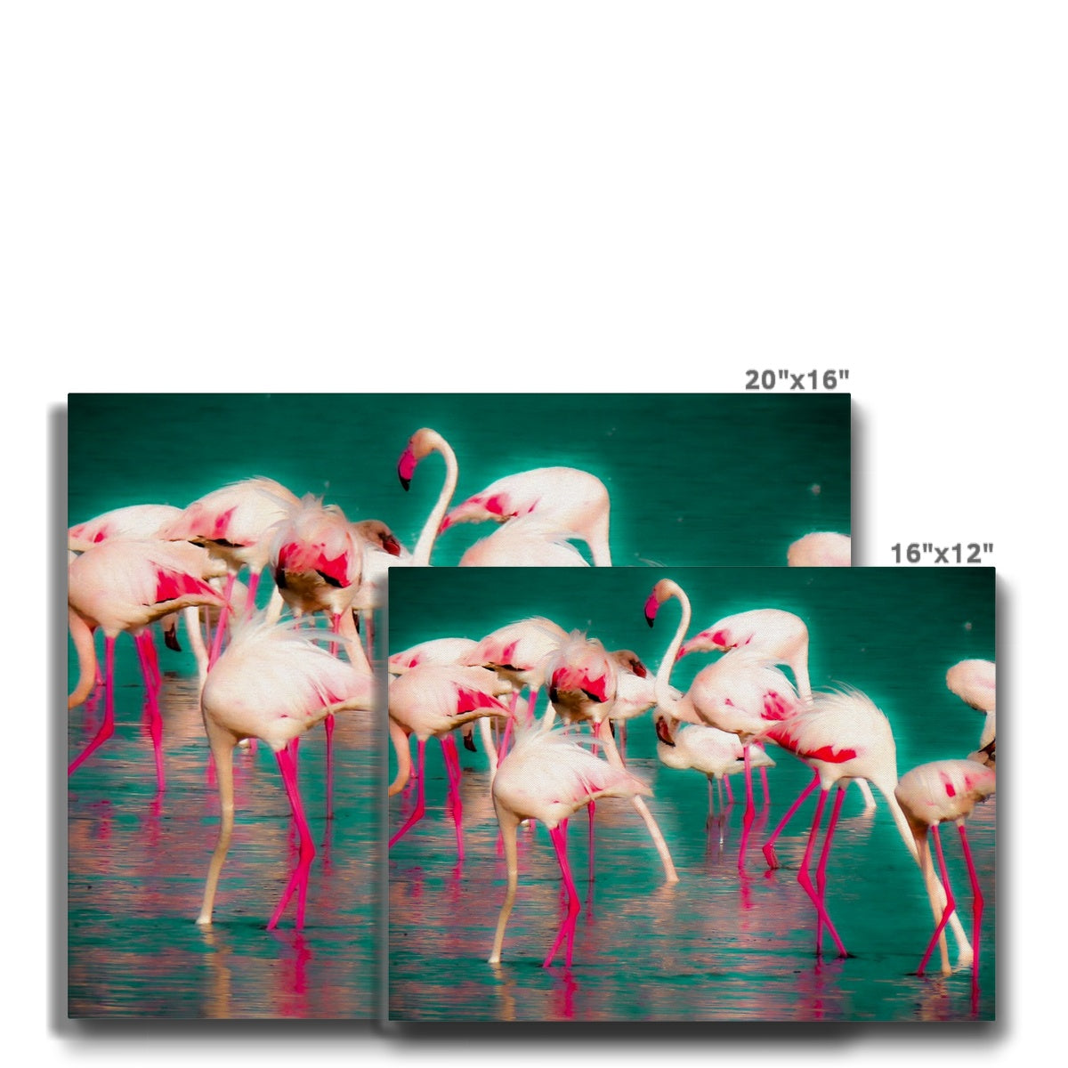 Flamingos 1 - Canvas