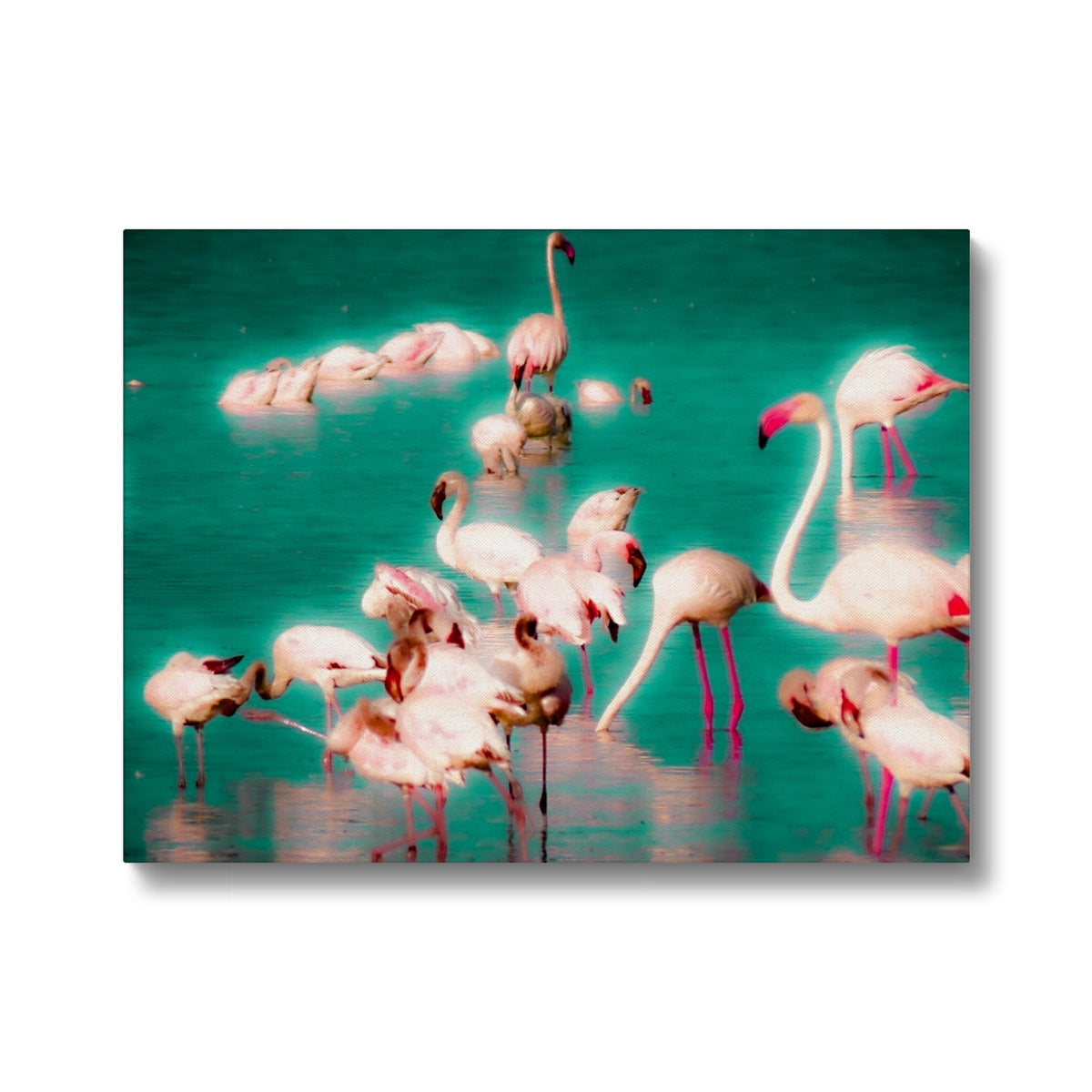 Flamingos 2 - Canvas