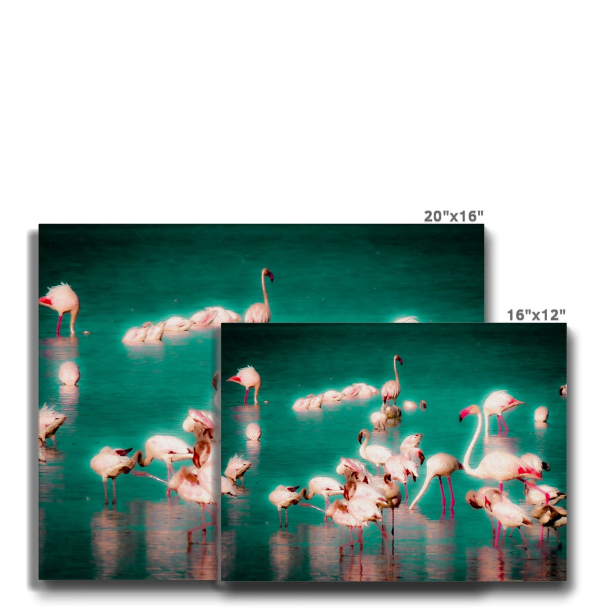 Flamingos 2 - Canvas