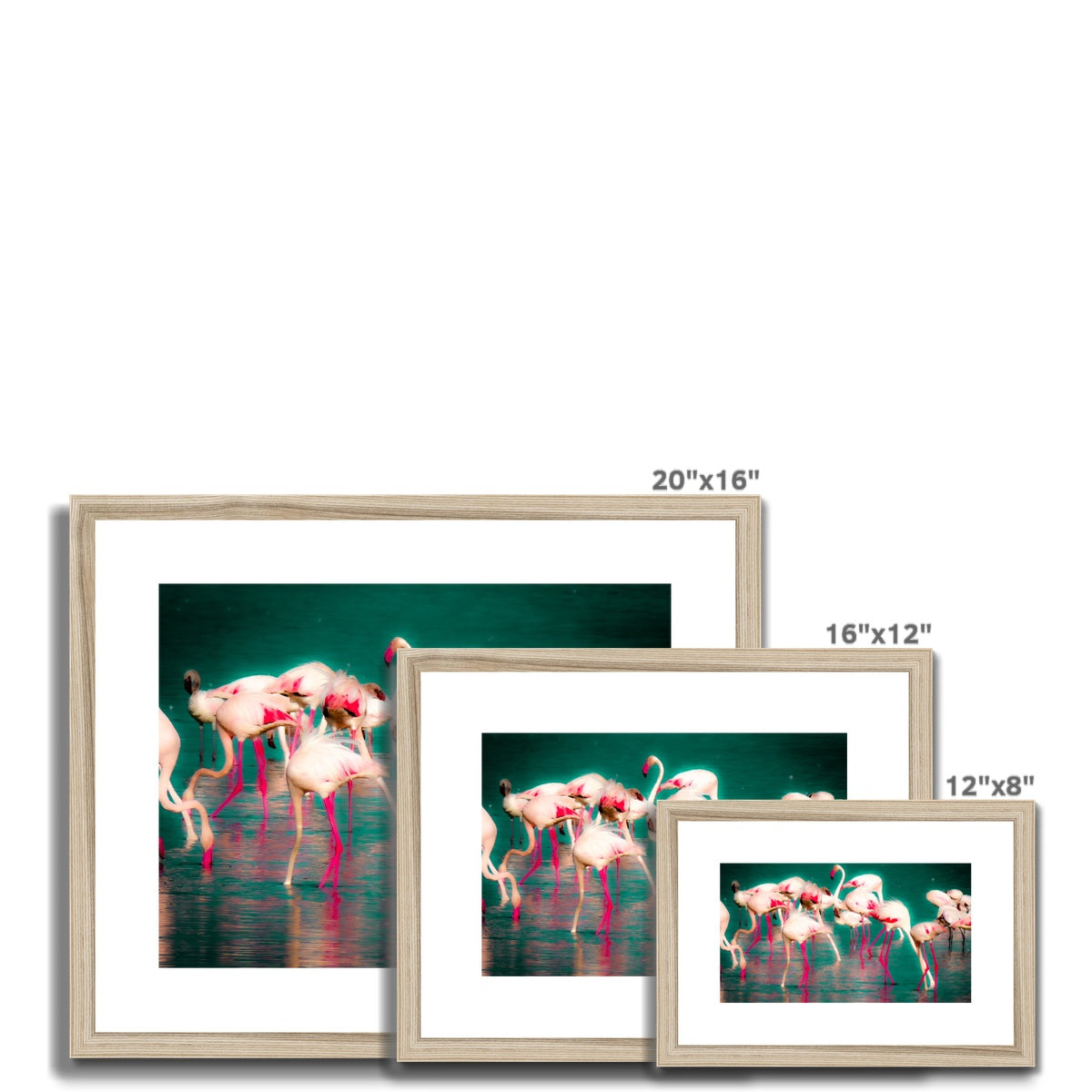 Flamingos 1 - Framed