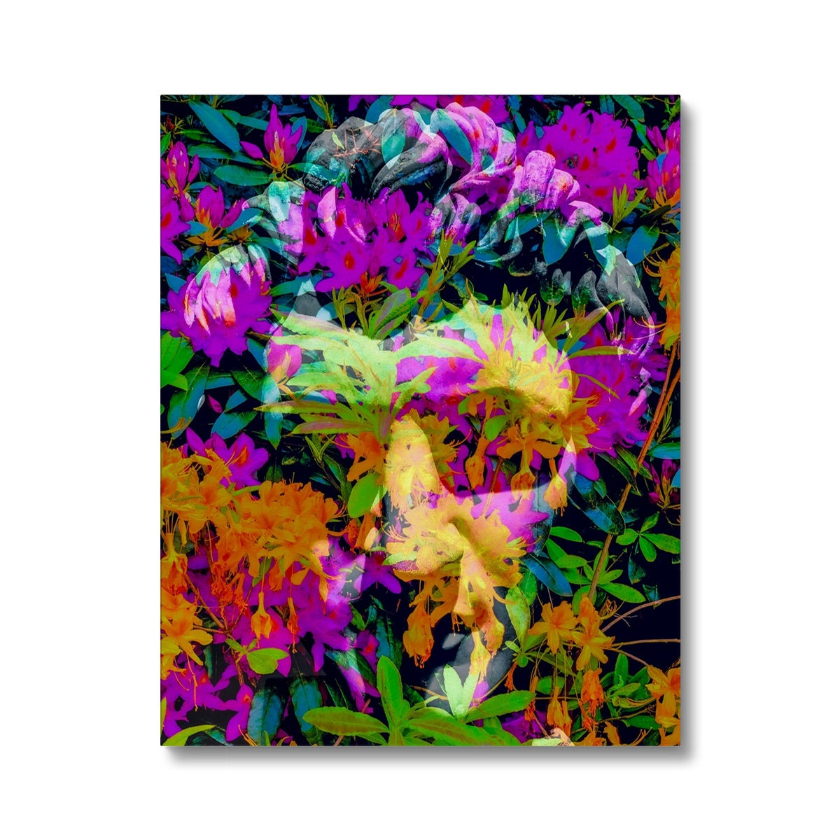 Antique Head 1 - Canvas