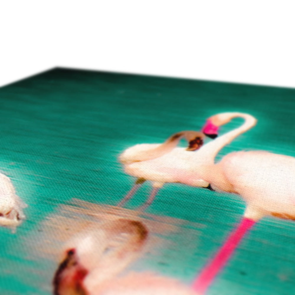 Flamingos 3 - Canvas