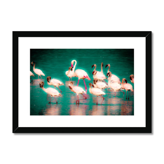 Flamingos 3 - Framed