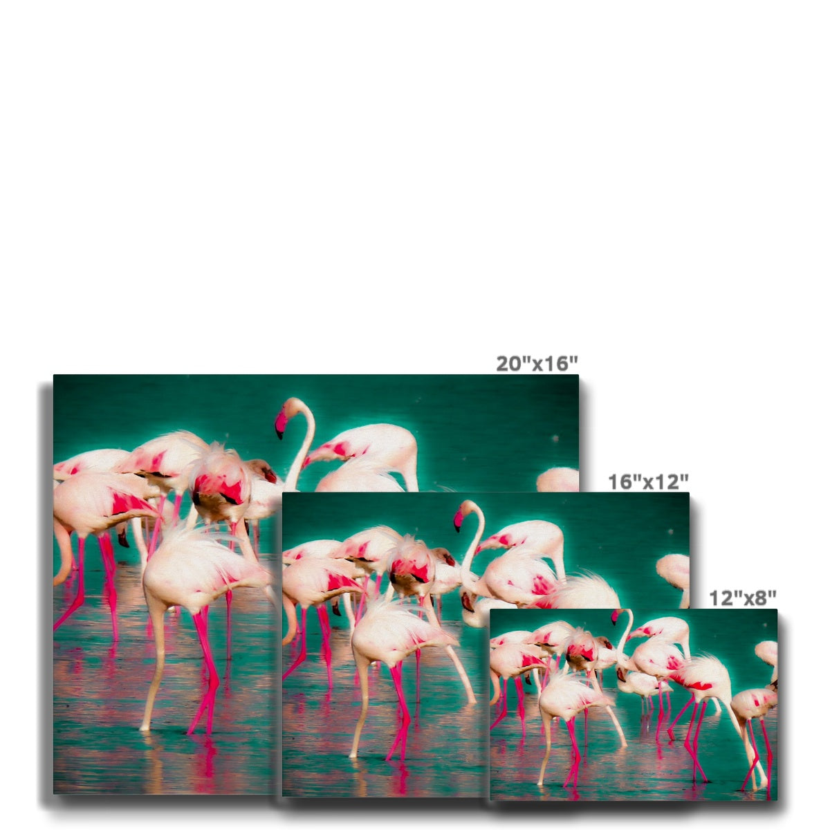 Flamingos 1 - Canvas