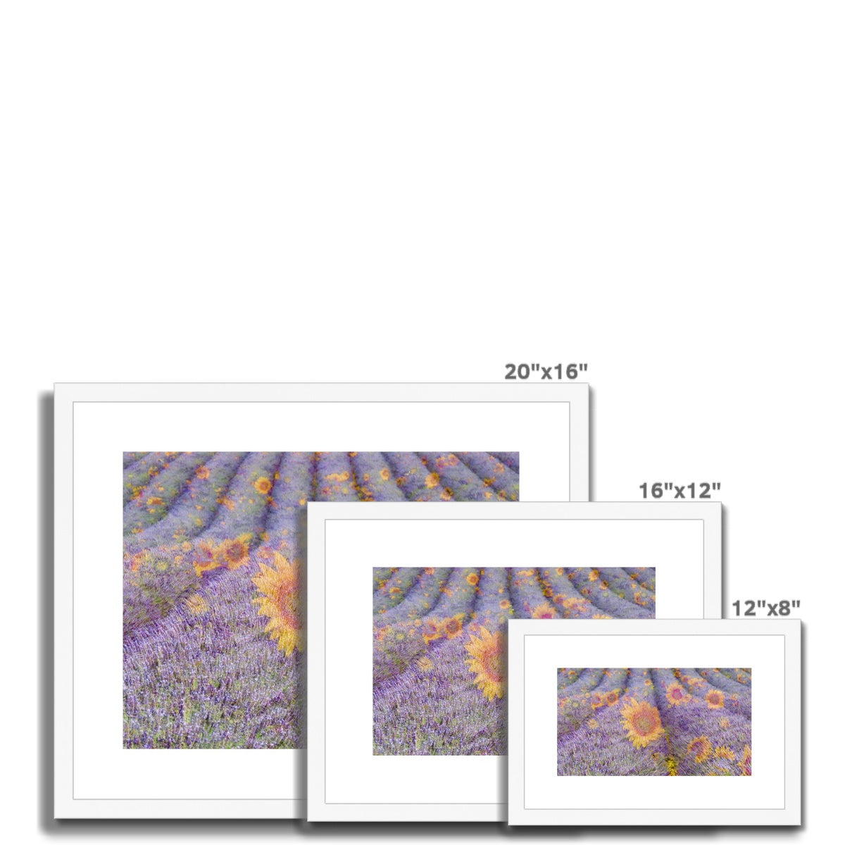 Lavander and Sun Flowers - Framed