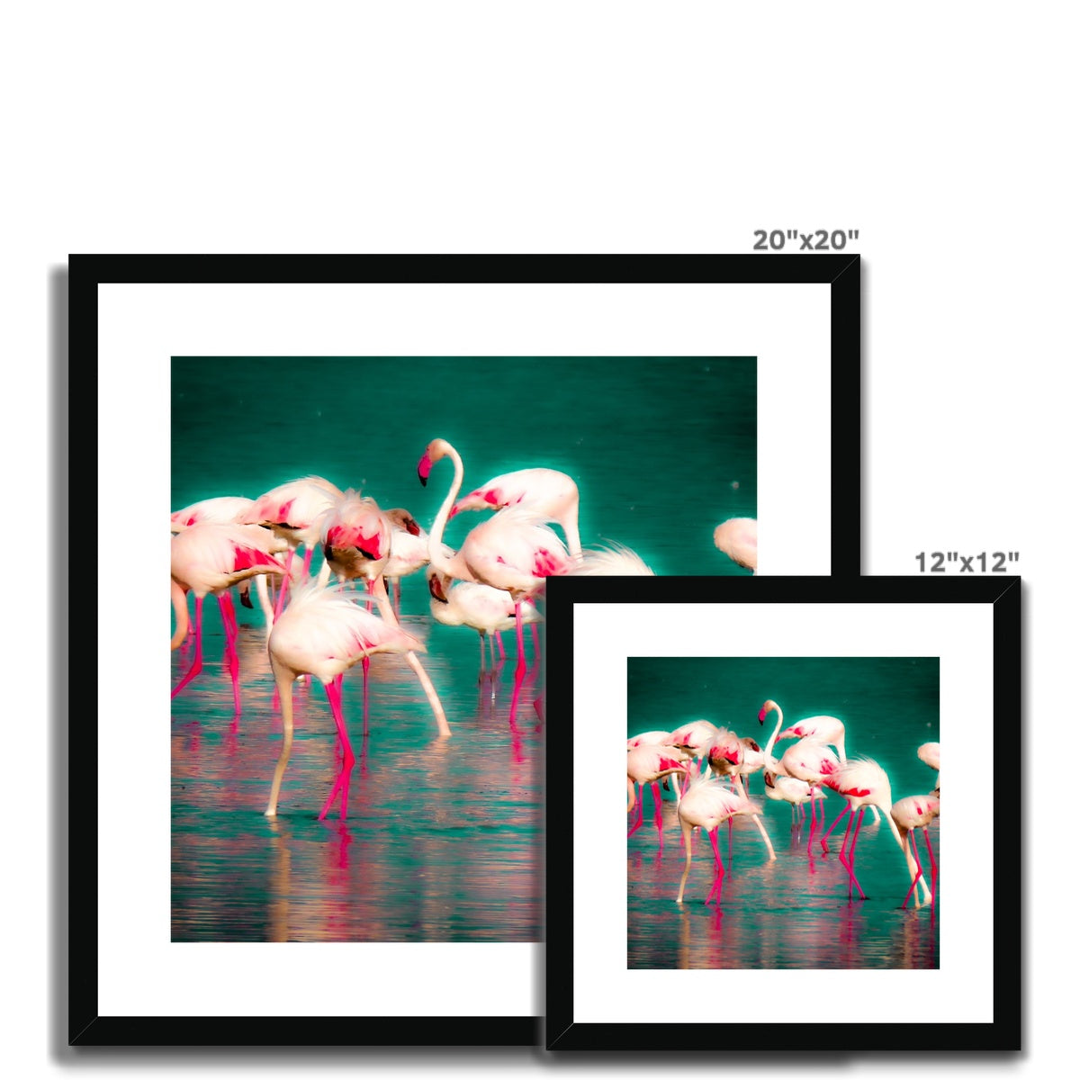 Flamingos 1 - Framed