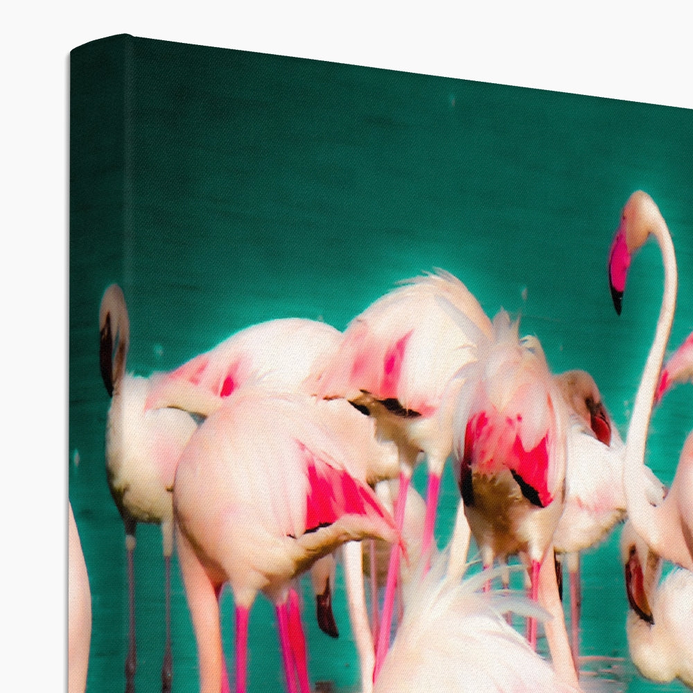 Flamingos 1 - Canvas