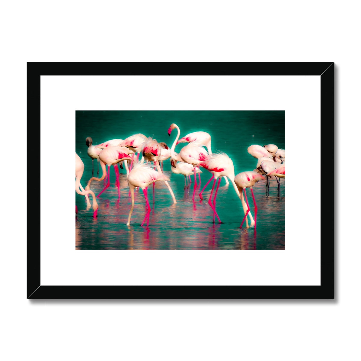 Flamingos 1 - Framed