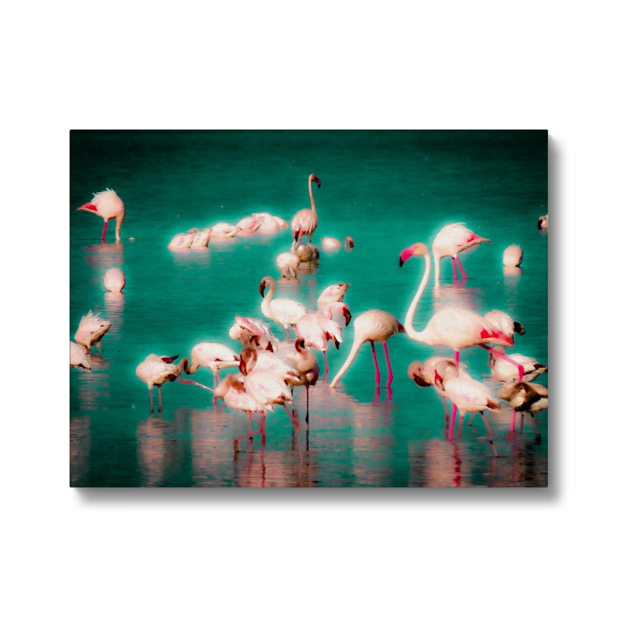 Flamingos 2 - Canvas