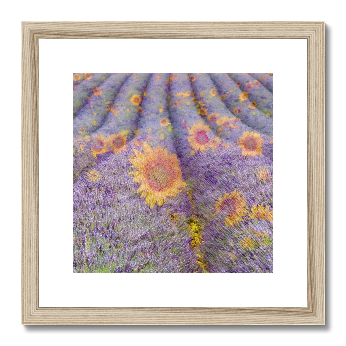 Lavander and Sun Flowers - Framed