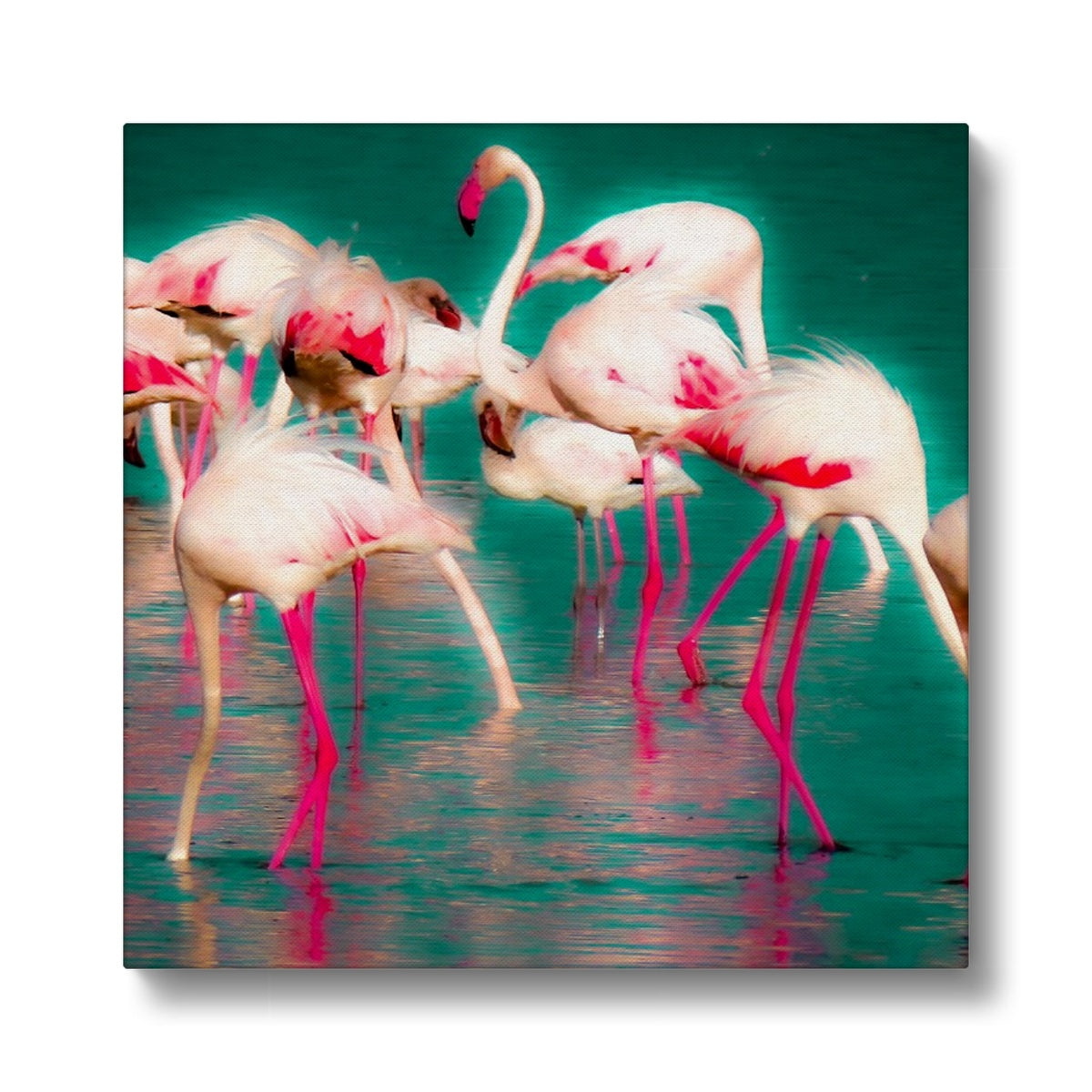 Flamingos 1 - Canvas