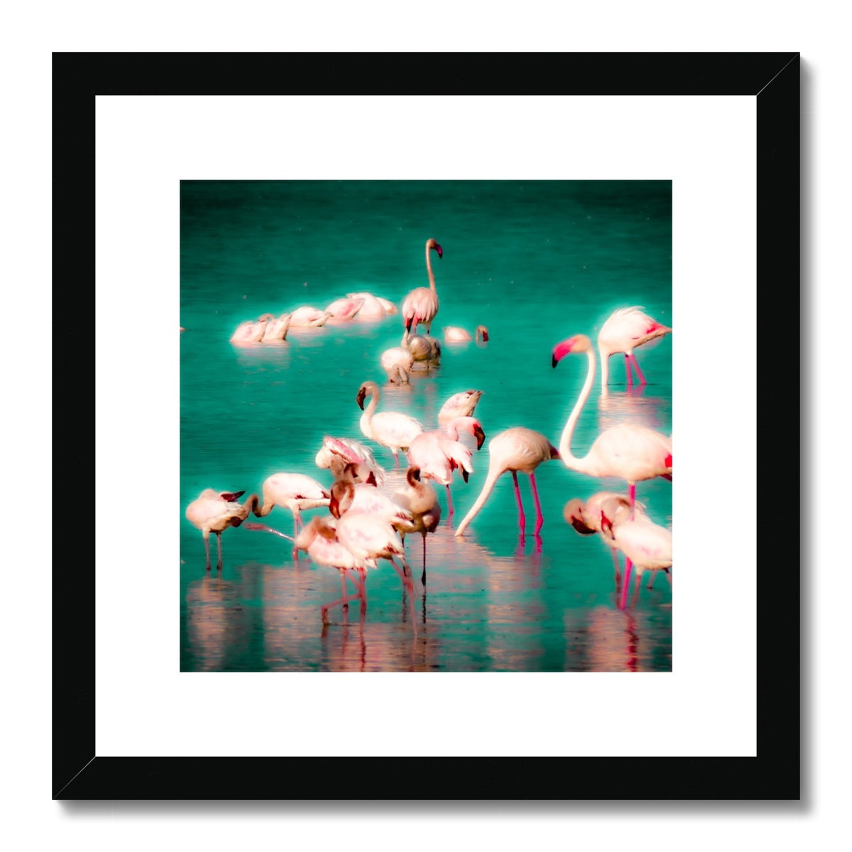 Flamingos 2 - Framed