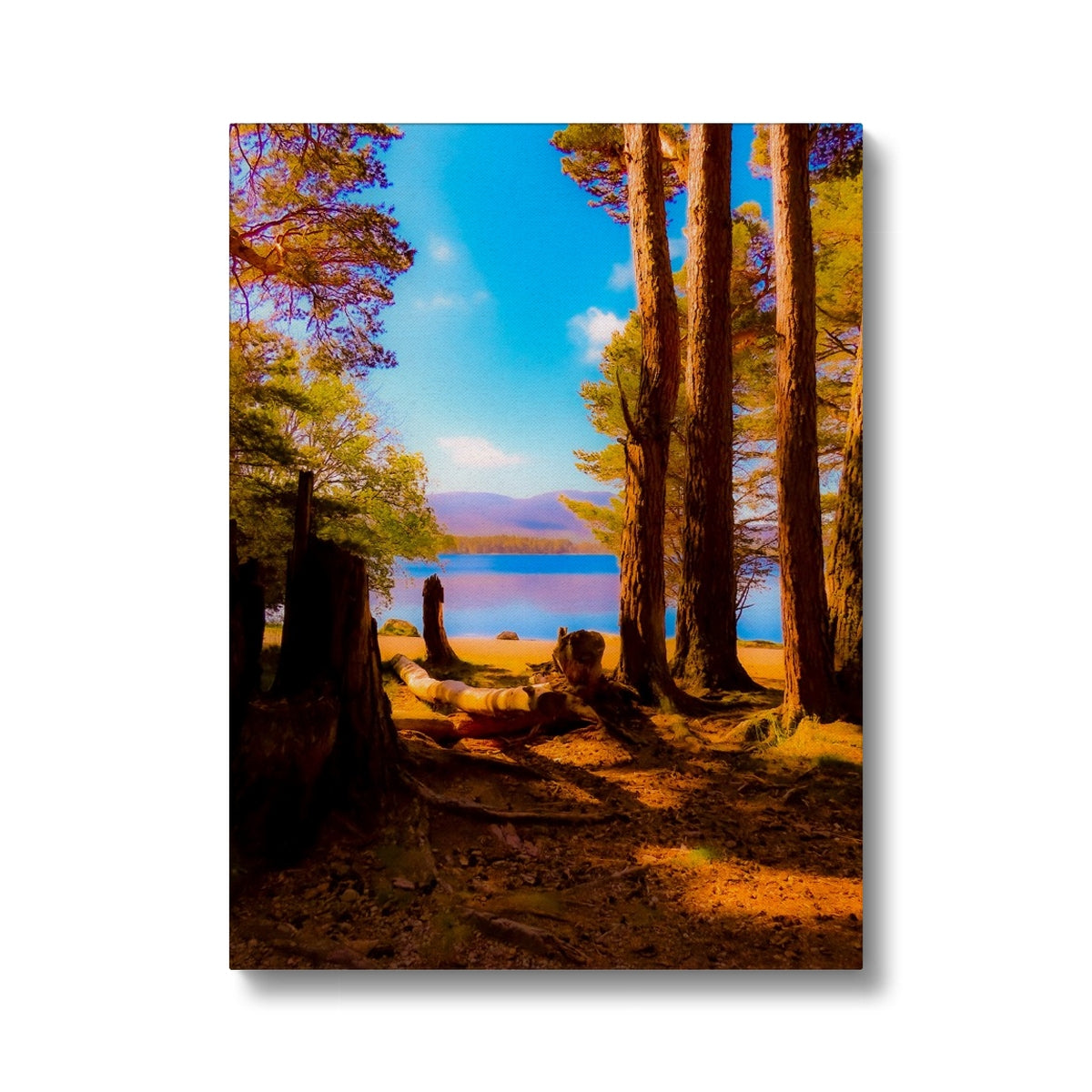 Lake in Scotland - Canvas