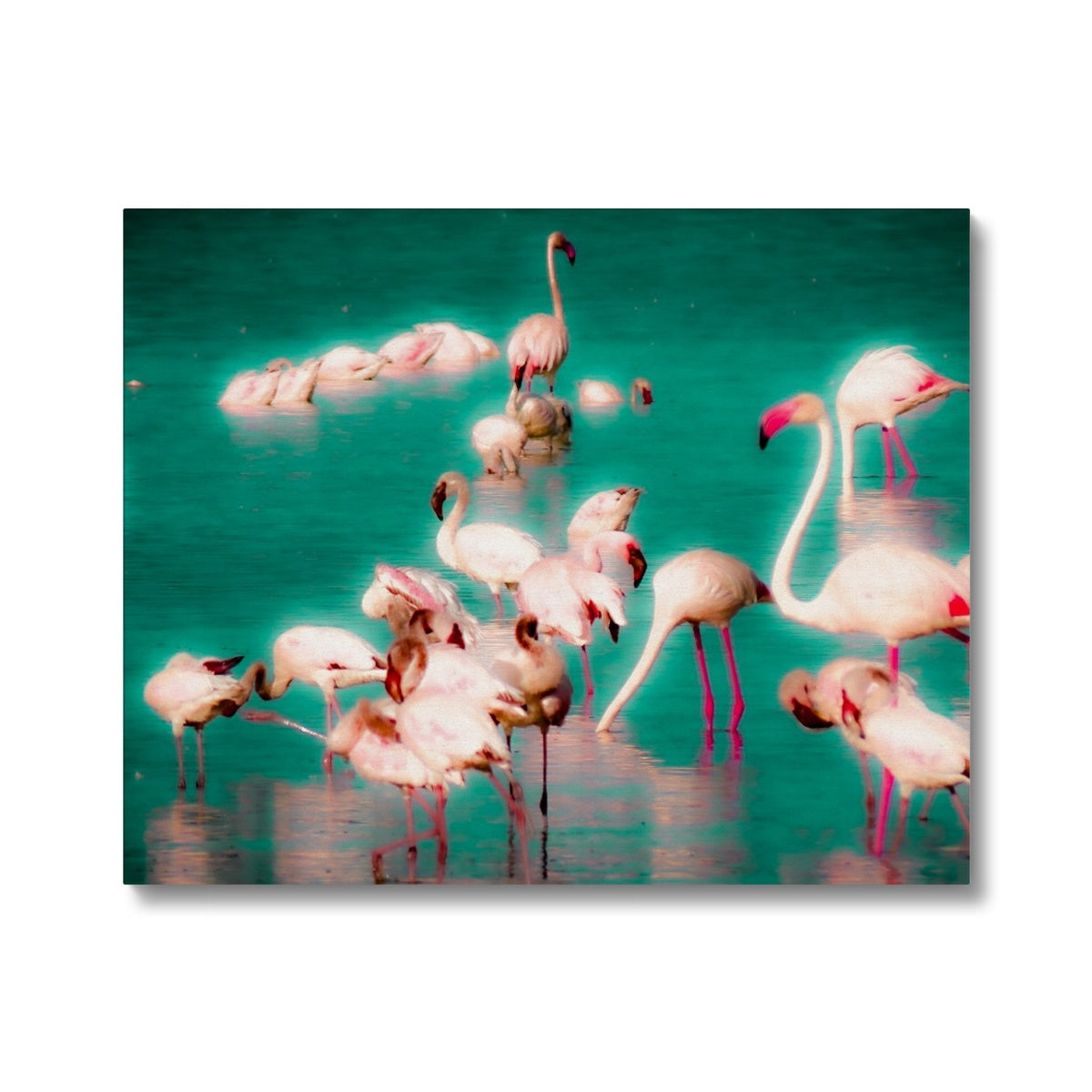 Flamingos 2 - Canvas