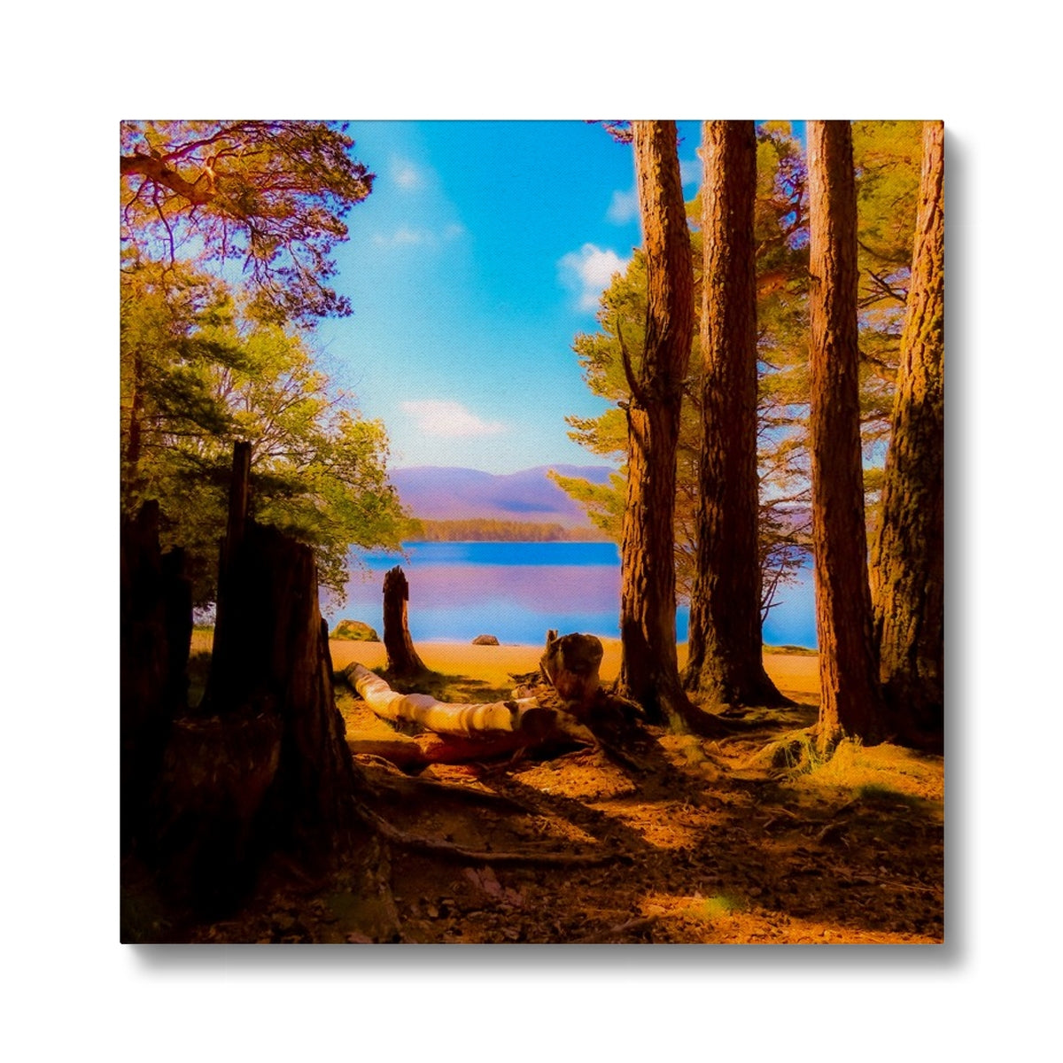 Lake in Scotland - Canvas