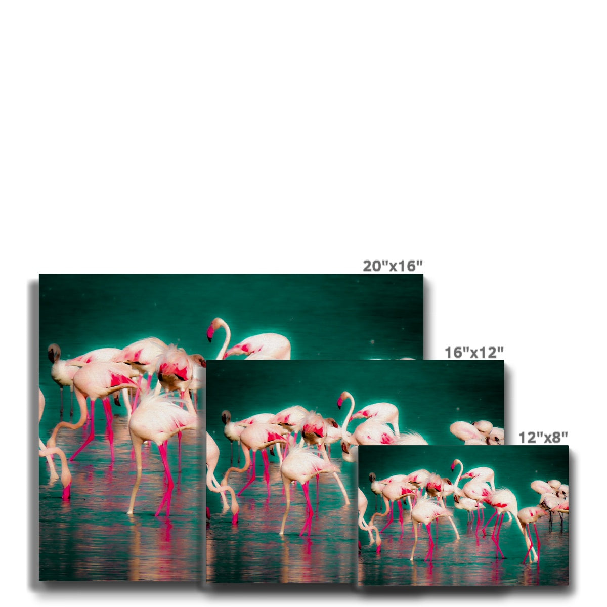 Flamingos 1 - Canvas