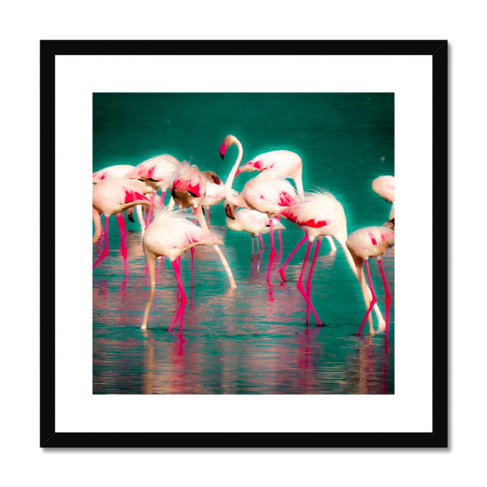 Flamingos 1 - Framed