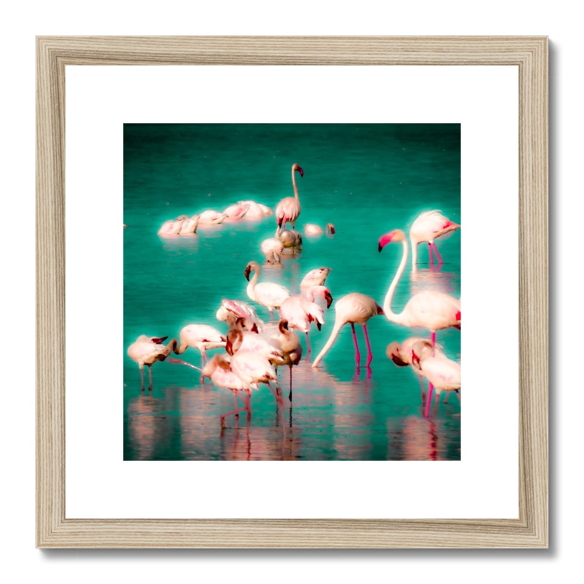 Flamingos 2 - Framed