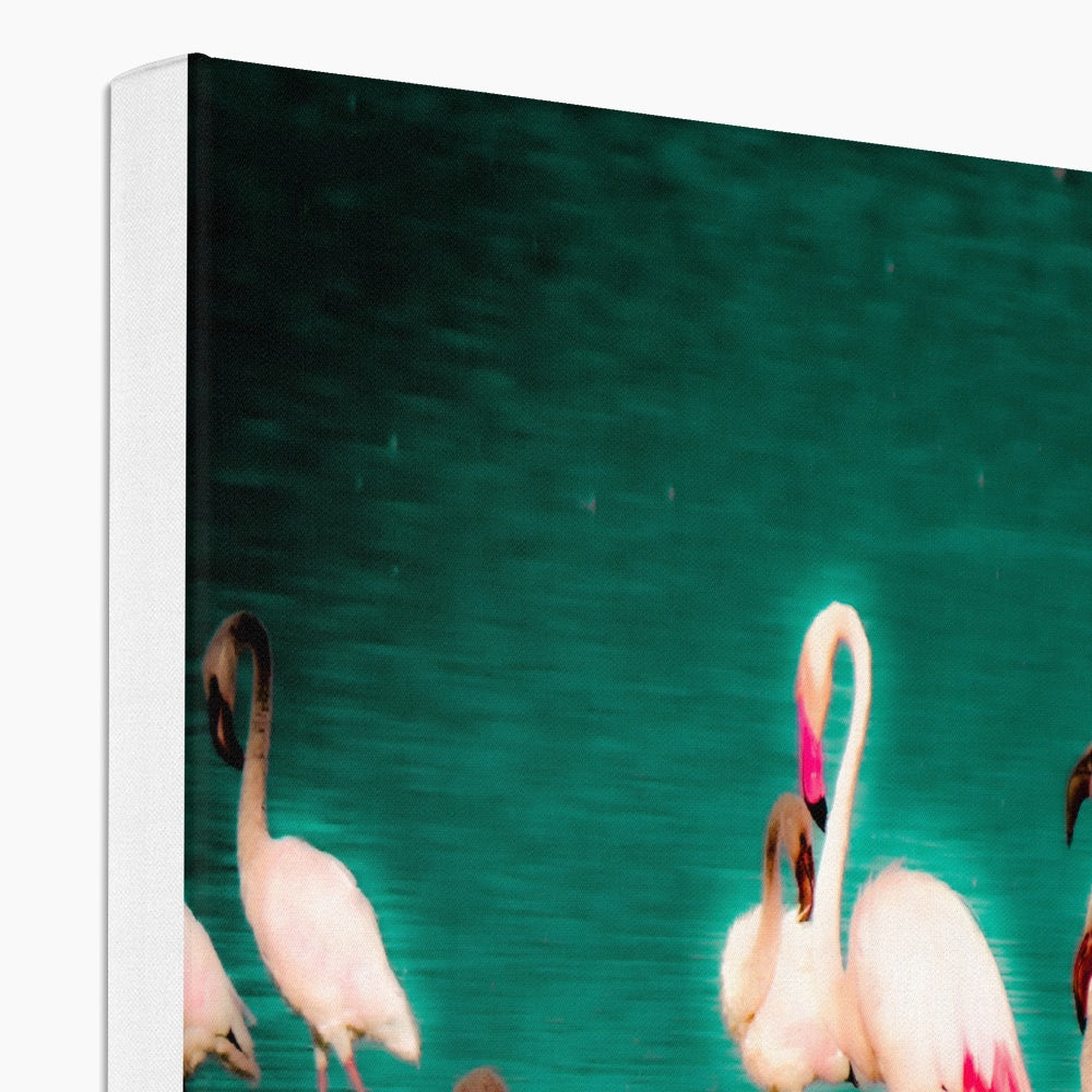 Flamingos 3 - Canvas